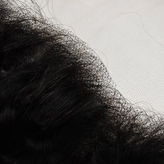 Curly 13x4 Transparent Lace Frontal Hair