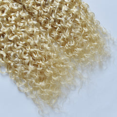 Blonde Curly Hair Bundle
